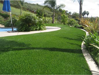 Synthetic Lawns