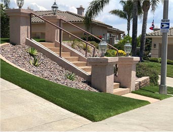 The Turf Edge