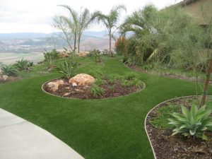 Synthetic Lawns
