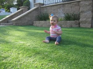Synthetic Lawns