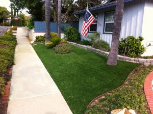 Synthetic Lawns
