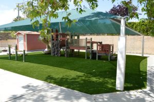 Synthetic Lawns
