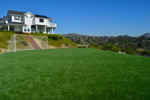 Synthetic Lawns