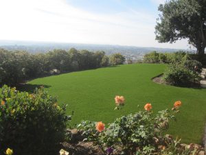 Synthetic Lawns