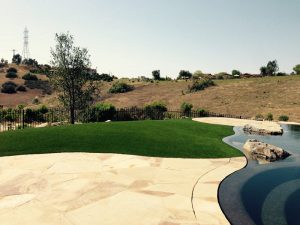 Synthetic Lawns