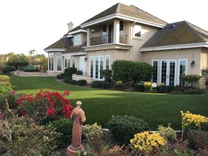 Synthetic Lawns
