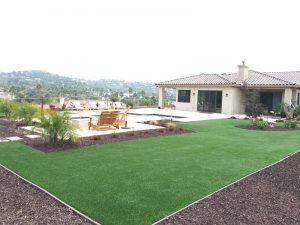 Synthetic Lawns