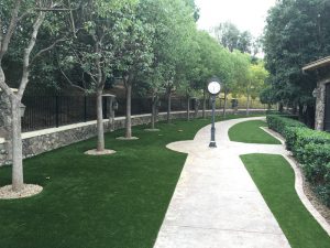 Synthetic Lawns