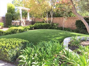 Synthetic Lawns