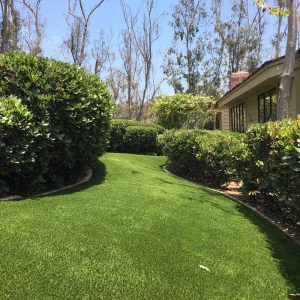Synthetic Lawns