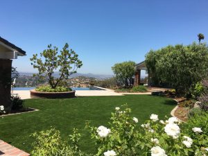 Synthetic Lawns