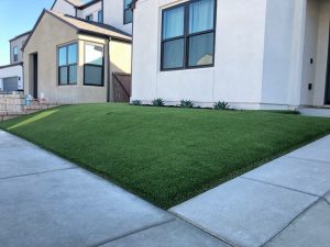 The Turf Edge