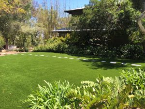Synthetic Lawns