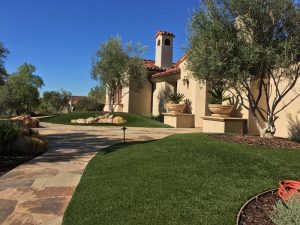 Synthetic Lawns
