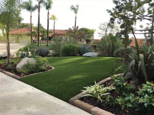 Synthetic Lawns