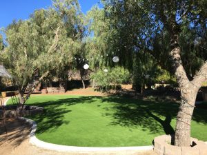 Synthetic Lawns