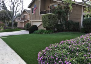 Synthetic Lawns