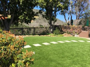 Synthetic Lawns