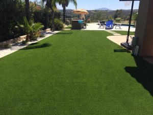 Synthetic Lawns