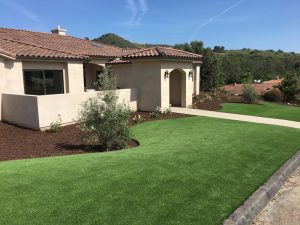 Synthetic Lawns