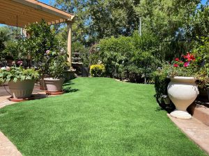 Synthetic Lawns