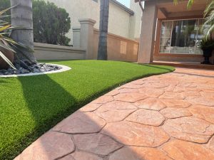 The Turf Edge