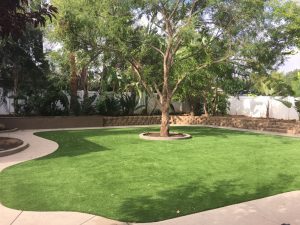 Synthetic Lawns