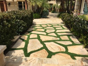 Synthetic Lawns