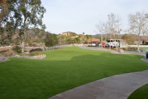 Synthetic Turf
