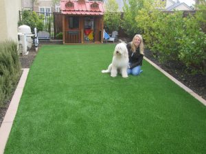 Pet Turf