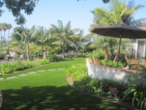 Synthetic Lawns