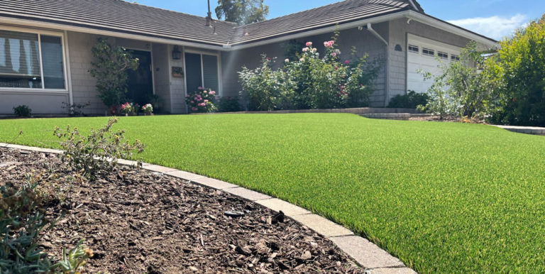 Synthetic lawn, putting green