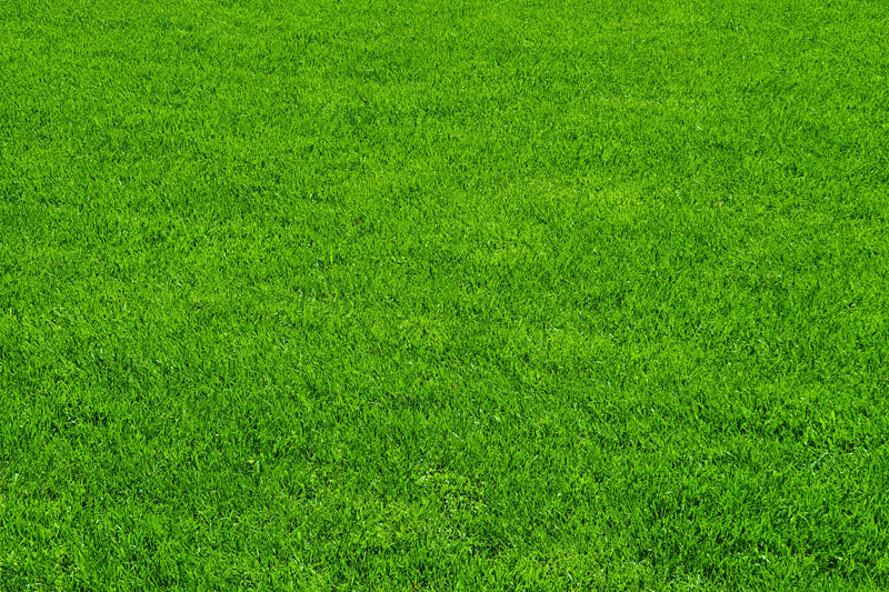 Artificial Grass San Diego - Best Synthetic Lawns I SoCal Greens