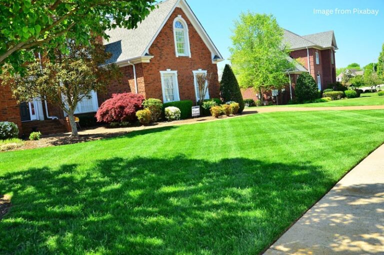 Synthetic lawns, summer landscaping, outdoor living