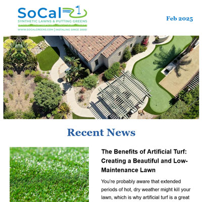 Feb 2025 Newsletter