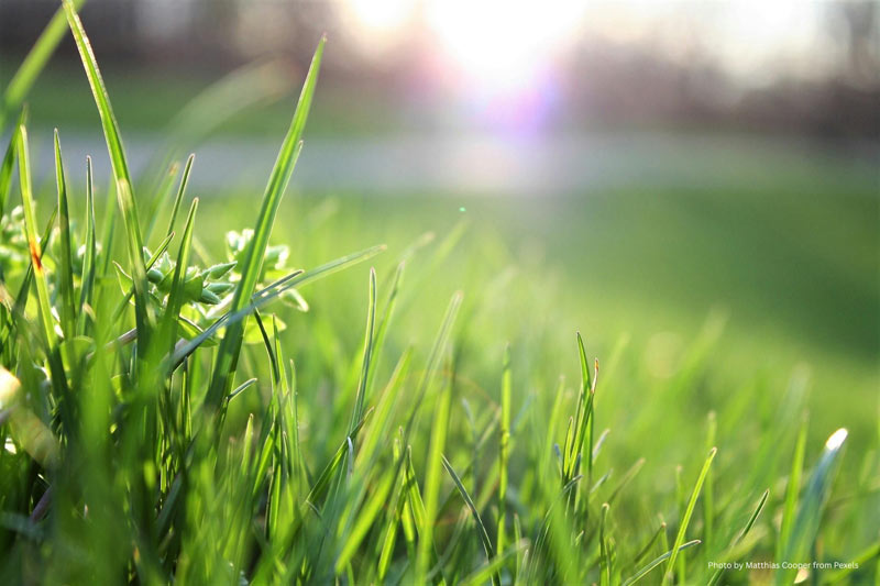 synthetic turf trends, 2025 landscape design, hardscape innovations, outdoor living trends, eco-friendly hardscapes